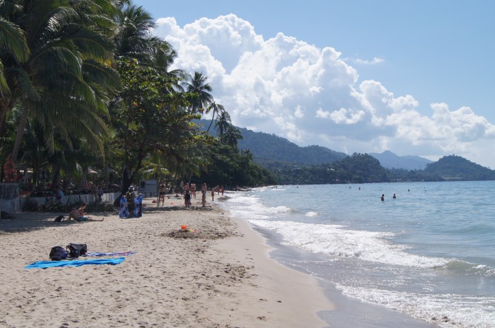 SONY DSC