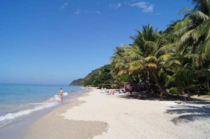 SONY DSC