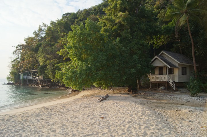 SONY DSC